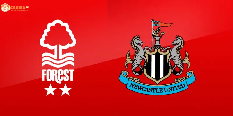Nottingham Forest vs Newcastle United
